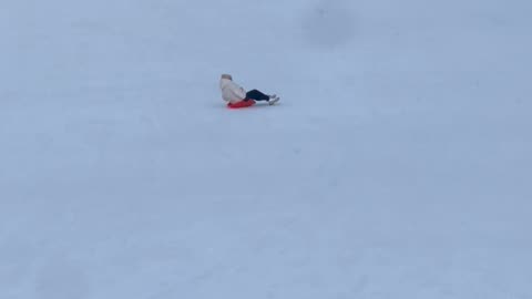 Momma Flies While Sledding