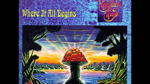 The Allman Brothers Band - "Soulshine" Original Version 1994