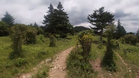 Grayson Highlands State Park/High country loop