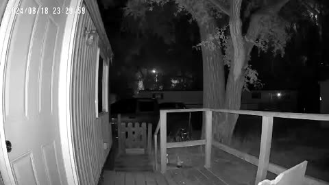 😨🤔 What Is This Quick Moving Figure? | TheHauntingHour