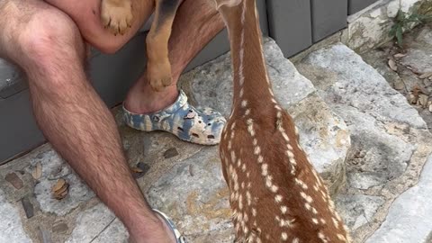 Buttons and Banjos First Meeting