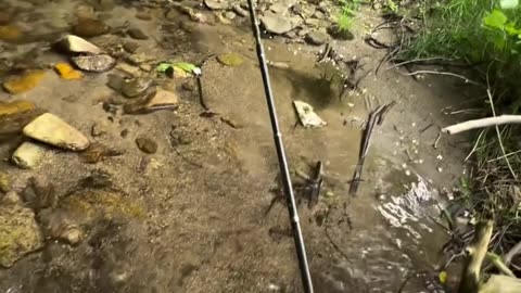 Fishing in River