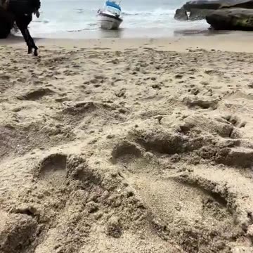 Penalty for illegal entry. Singapore_ 6 months jai