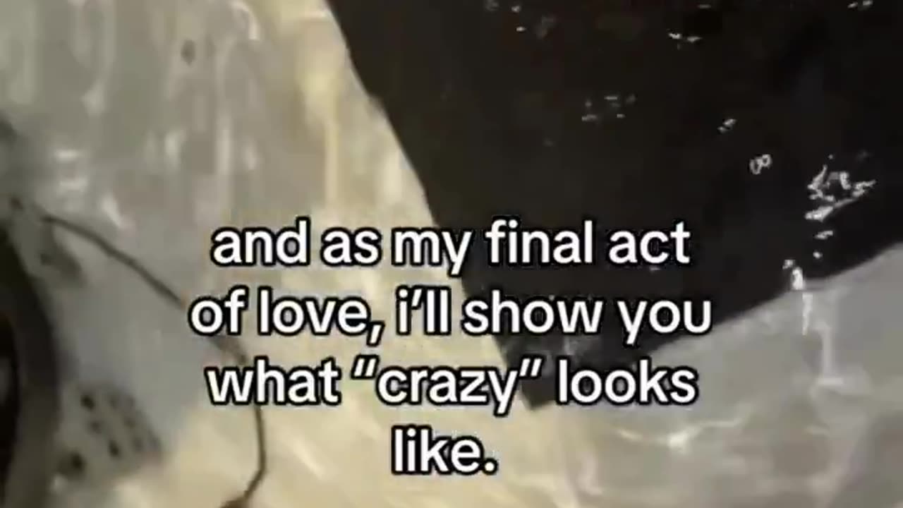 Dating a psycho