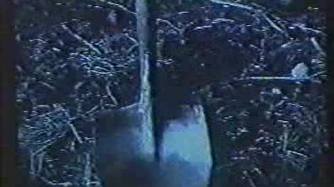 Faster Pussycat - Body Thief