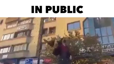 The real feminists are fighting for freedom of all Persian women . Stand with them