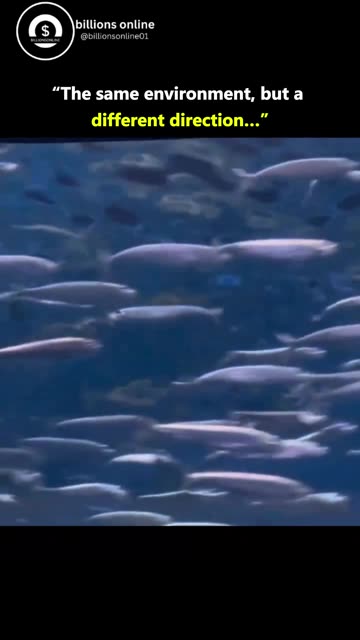 You Don’t Need a New World — Just a New Path