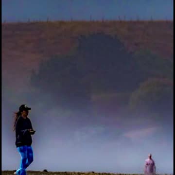 Did the photograph capture something in the background that you couldn't decipher? A Humanoid Being?