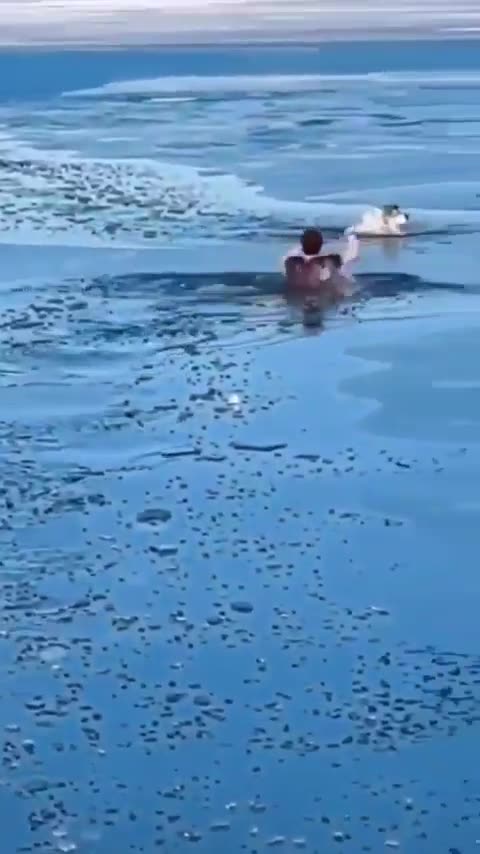 White man swims through yards of freezing water to rescue dog...