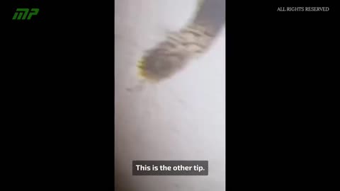 Humans are being taken over from within by 'biotechnological mutation' through fake vaccines, PCR tests and other sources