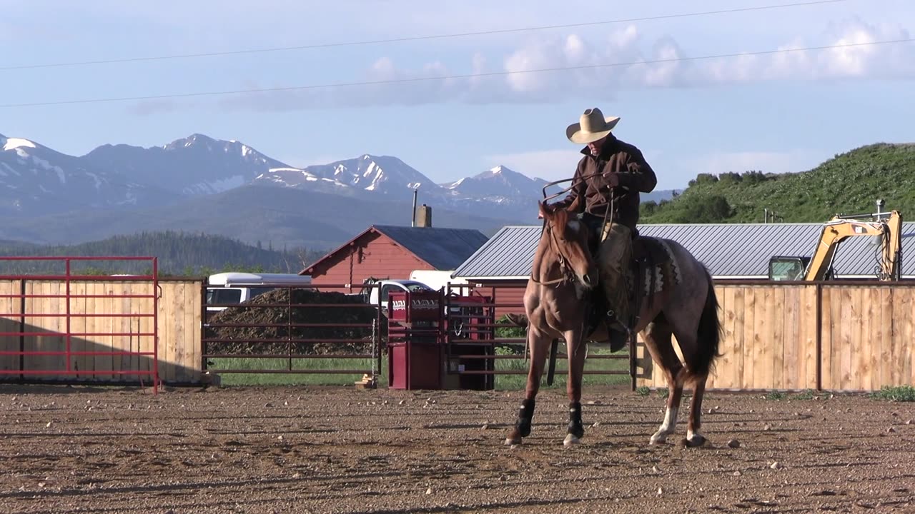 Epic Success in 20 Days Snaffle Bit Basics with Neches Day 18 Preview