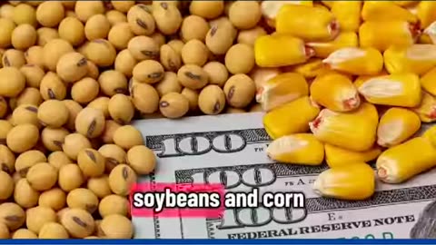 US-India Trade War Causes $87B Collapse in Farming, Technology, and Medicine!