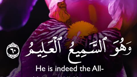 🔥 Surah Al Ankabut 29:59–60 سورة العنكبوت 🌿💖 #Quran #love #shorts #viral #youtubeshorts #trending