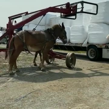 If you're an engineer, you'll never be lost in this life...