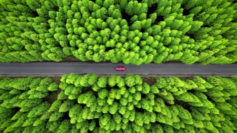 Dreamy House Jazz Escapes