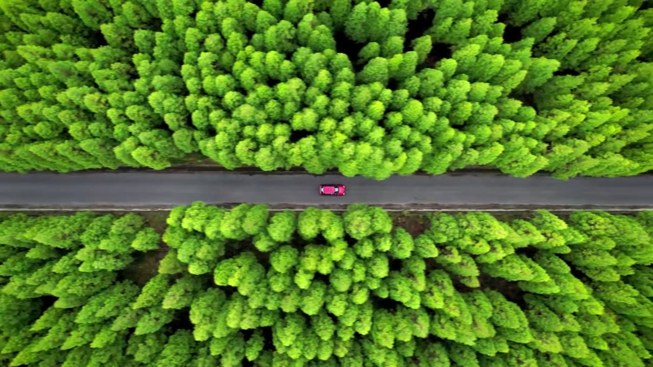 Dreamy House Jazz Escapes