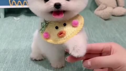 Baby, You’re So Pretty