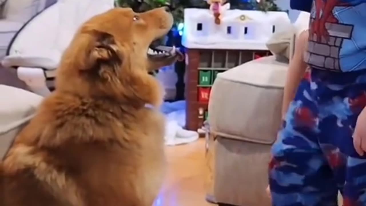 cute animals
