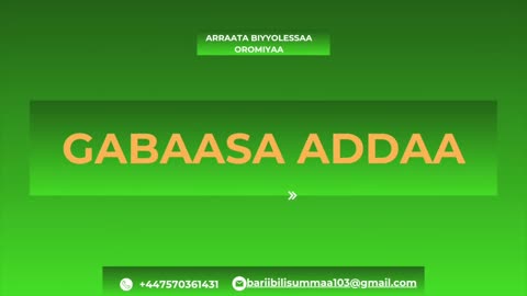 Gabaasa Ammee ONM-ABO Onkoloolessa 7-2025 itti dhiyaadhaa!