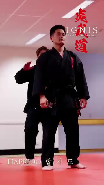 Hapkido