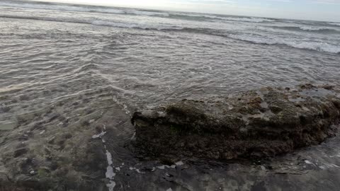 Random Reef Views #underwater #reef #waves Ocean Oct 2025