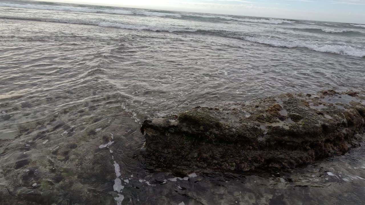 Random Reef Views #underwater #reef #waves Ocean Oct 2025