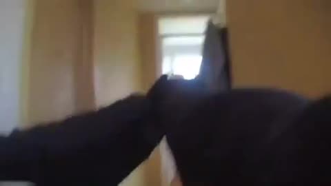 🔥🤬🔥Terrorizing citizens for posting on The Net - UK conducts at least 30 raids a day