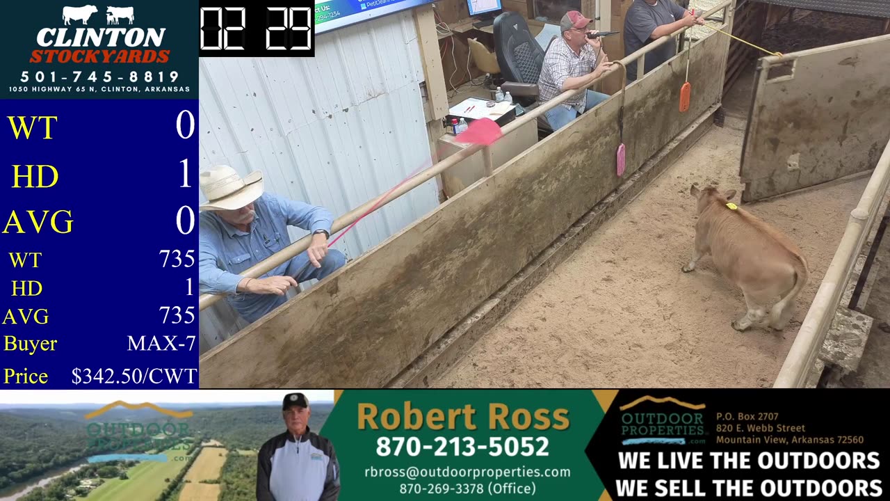 9/27/2025 - Cattle Auction - Clinton Stockyards