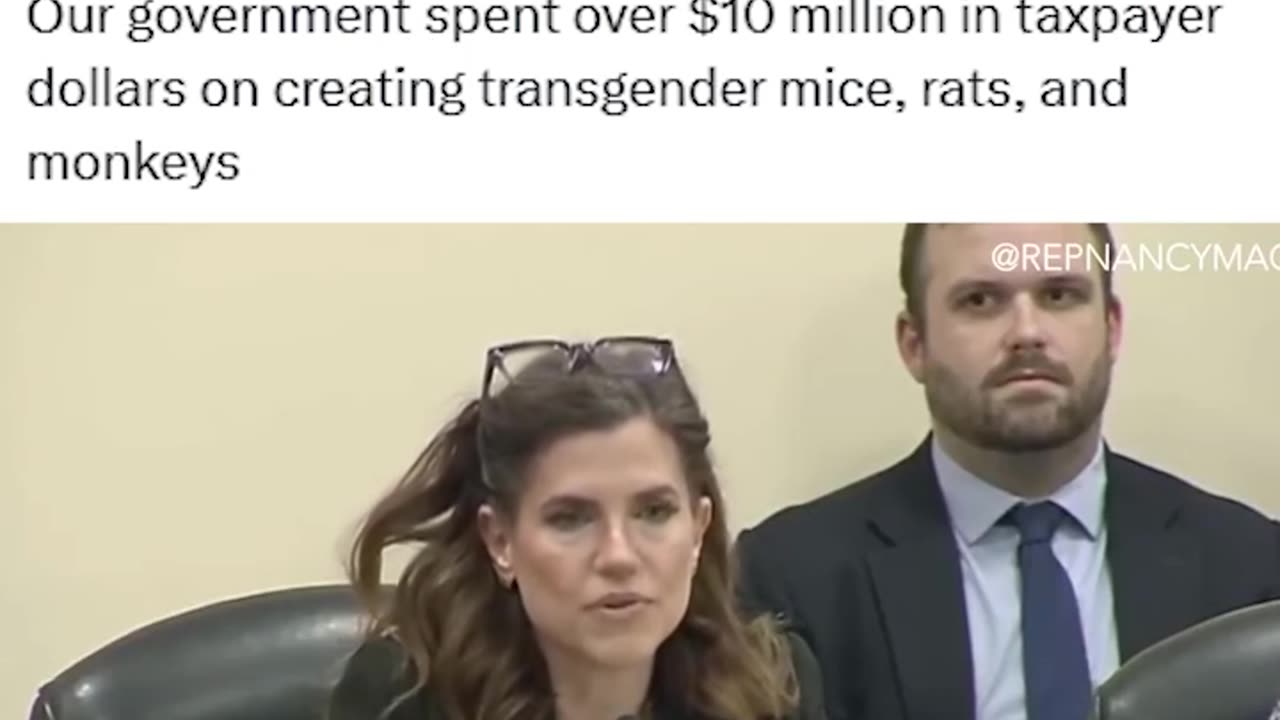 Transgender Monkeys, Dogs, Cats, and Rats... Democratic Party