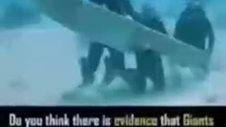 THE GIANTS - REVEALED - THOUGHTS?