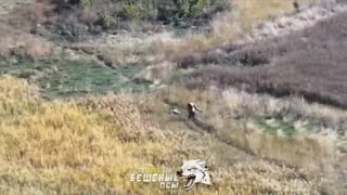 A Russian officer carried a severely wounded comrade until he handed him over to an evacuation group
