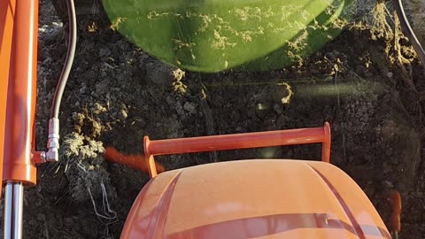 Turning 30 Dump Trucks of Horse Manure