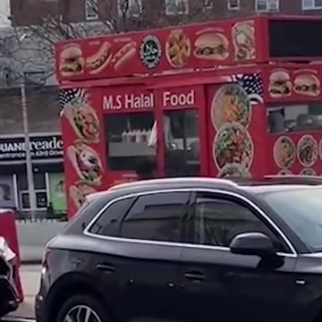 NYC Halal Food Cart Worker Filmed Catching Pigeon with Bare Hand Before Taking It into Kitchen