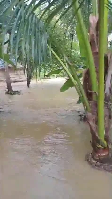 Inundación en Berruguita, Macayepo