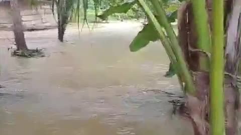 Inundación en Berruguita, Macayepo