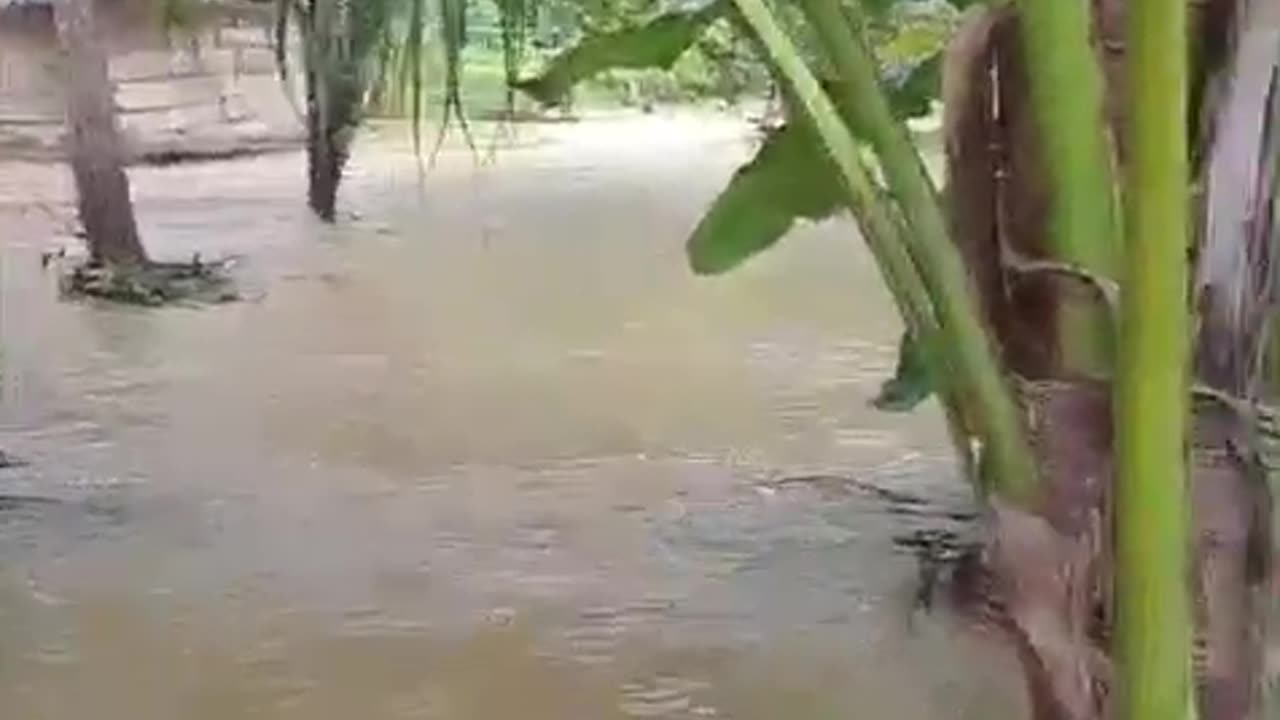 Inundación en Berruguita, Macayepo