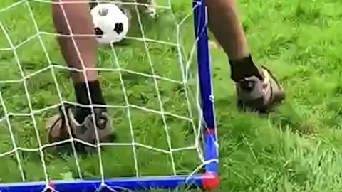 Funny Dog Soccer Videos! 🐶⚽😂 | Dogs Playing Football Compilation