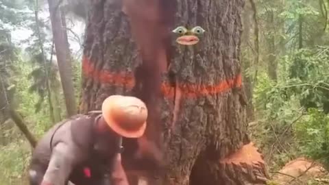Tree Does It's Own Thing