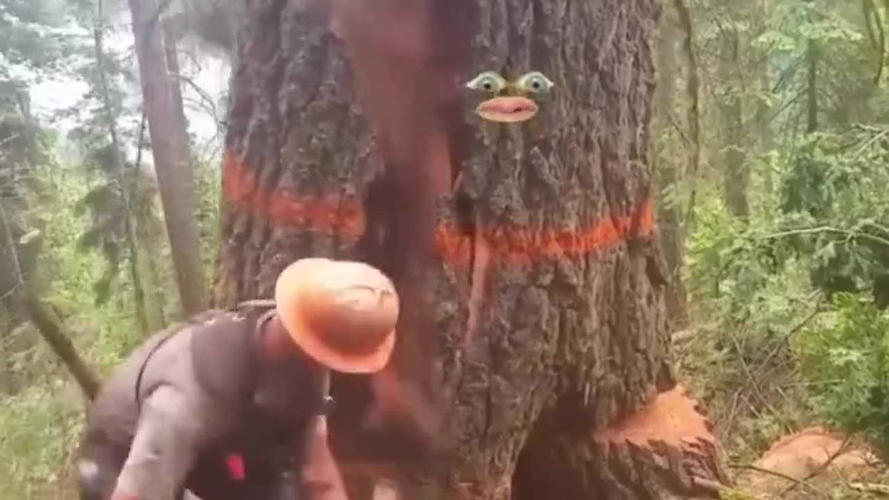 Tree Does It's Own Thing