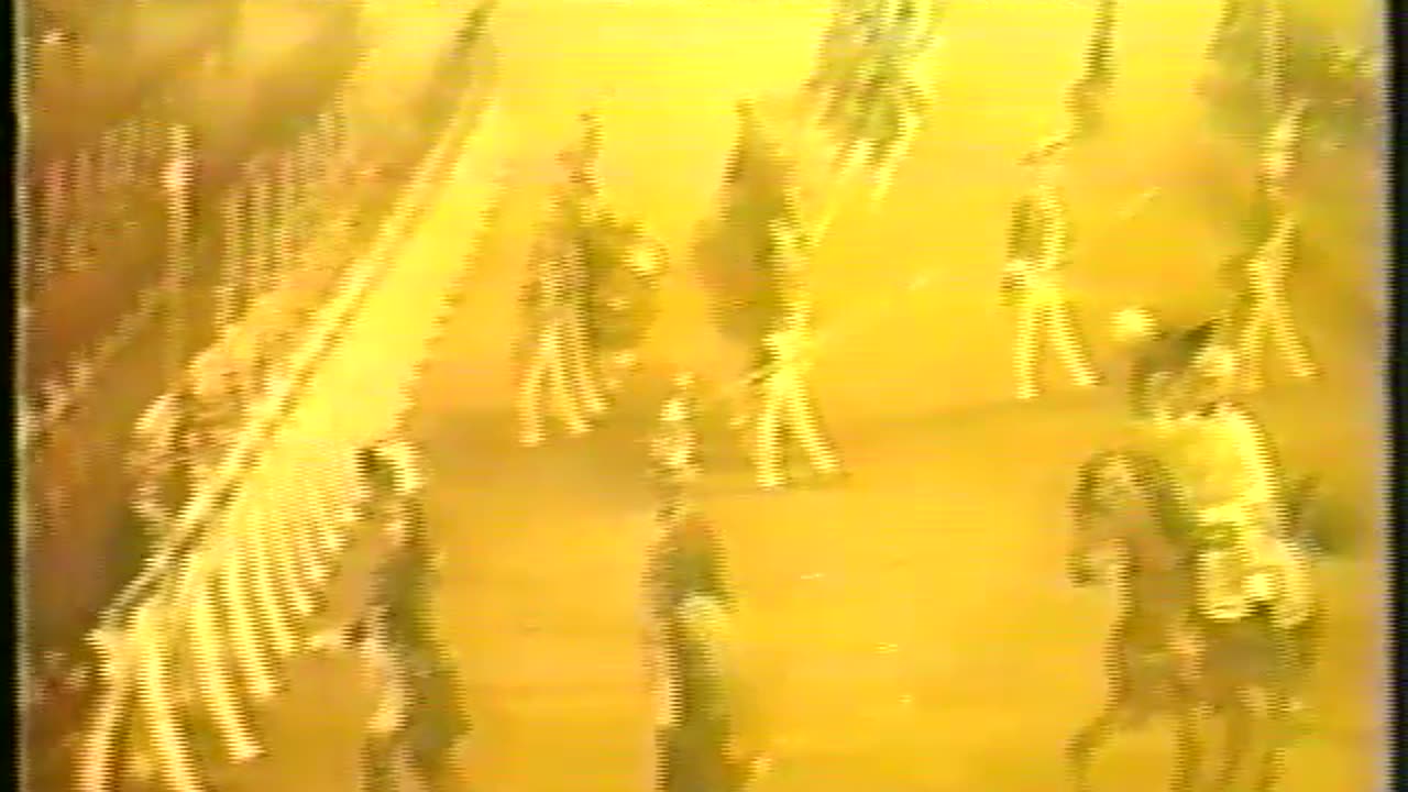 D31. St. Petersburg3