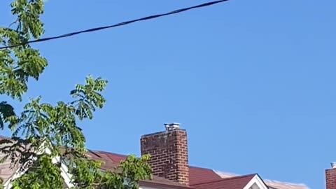 🛸🏙️ Unbelievable UFO Sighting Over Toronto! | TheTruthAbove