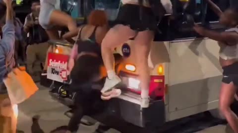 Why do they climb everywhere?