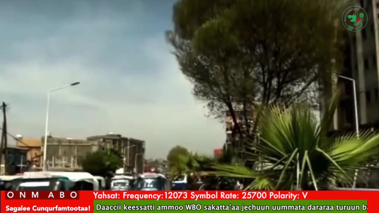 Oduu Ganama ONM-ABO Onkoloolessa 24-2025 itti dhiyaadhaa!