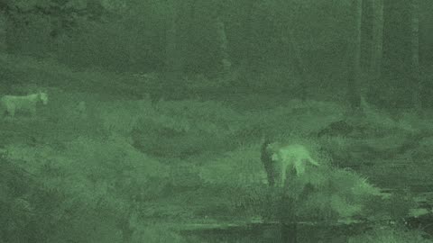 Everything - WOLVES [YEDIT] (KanYe West) (Drake) {Bobert & Co}