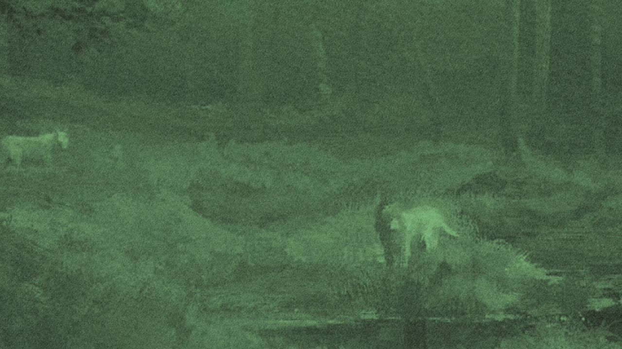 Everything - WOLVES [YEDIT] (KanYe West) (Drake) {Bobert & Co}