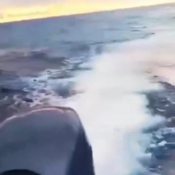 Satellite phones and GPS devices: this is how 21st-century ‘refugees’ arrive in