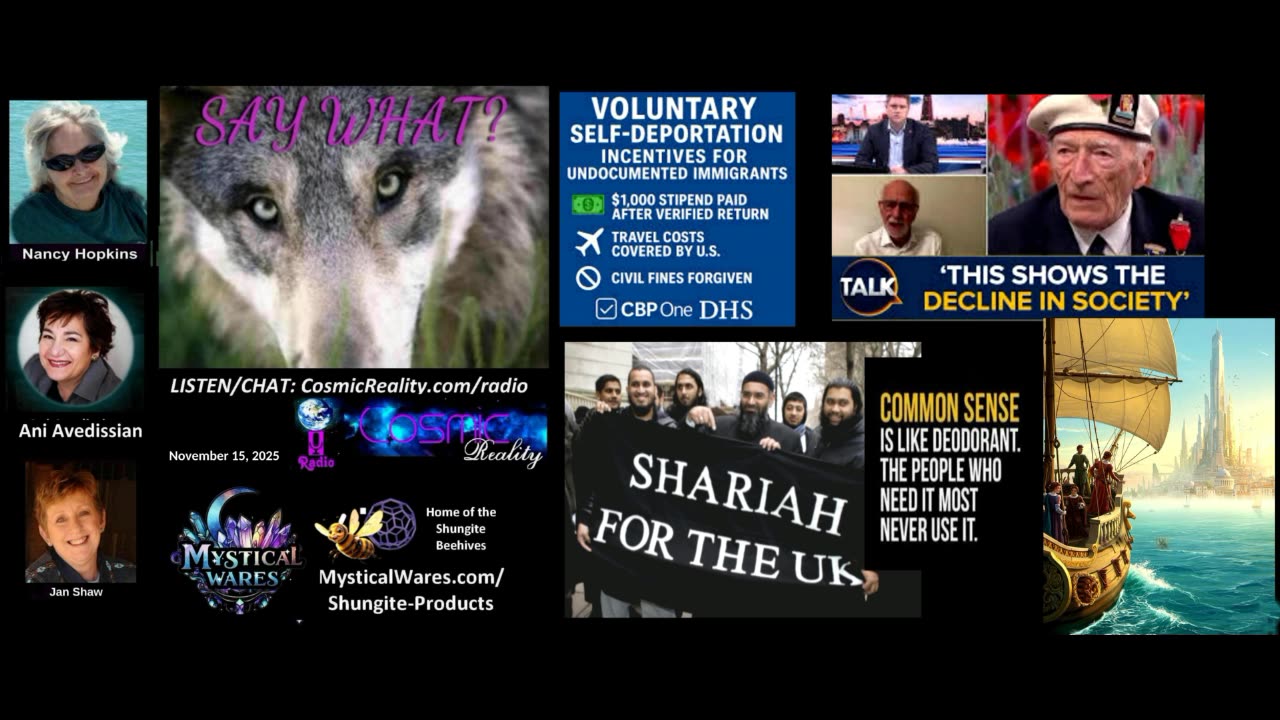 SAY WHAT SHOW 11/15/2025 - Losing Britain to Invisible Vistors