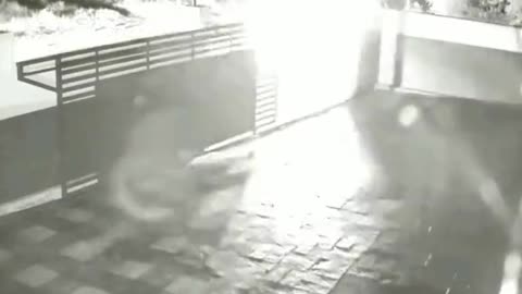 👻 Creature Caught on Camera! | TheHauntingHour