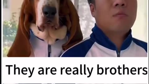 Funny video