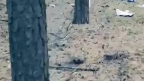 Border guards destroy more than a dozen Russian drones in Sumy region ▪️